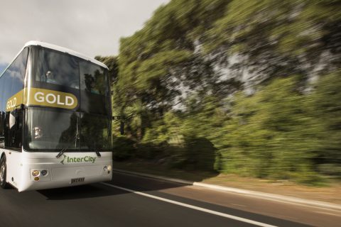 InterCity overnight bus with Gold seats