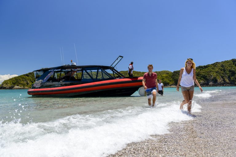 Bay of Islands couples idea - an island cruise