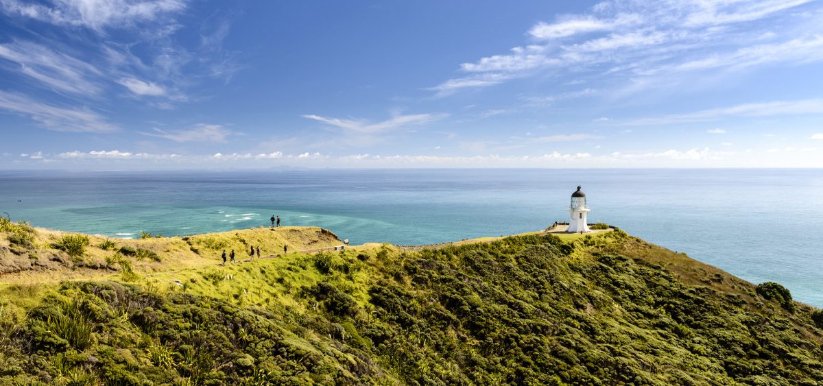 Backpacker Bus Cape Reinga