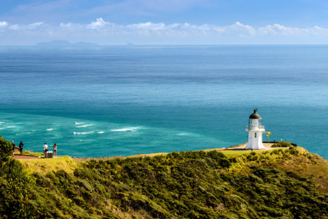 Backpacker Bus - Cape Reinga tour