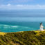 Backpacker Bus - Cape Reinga tour