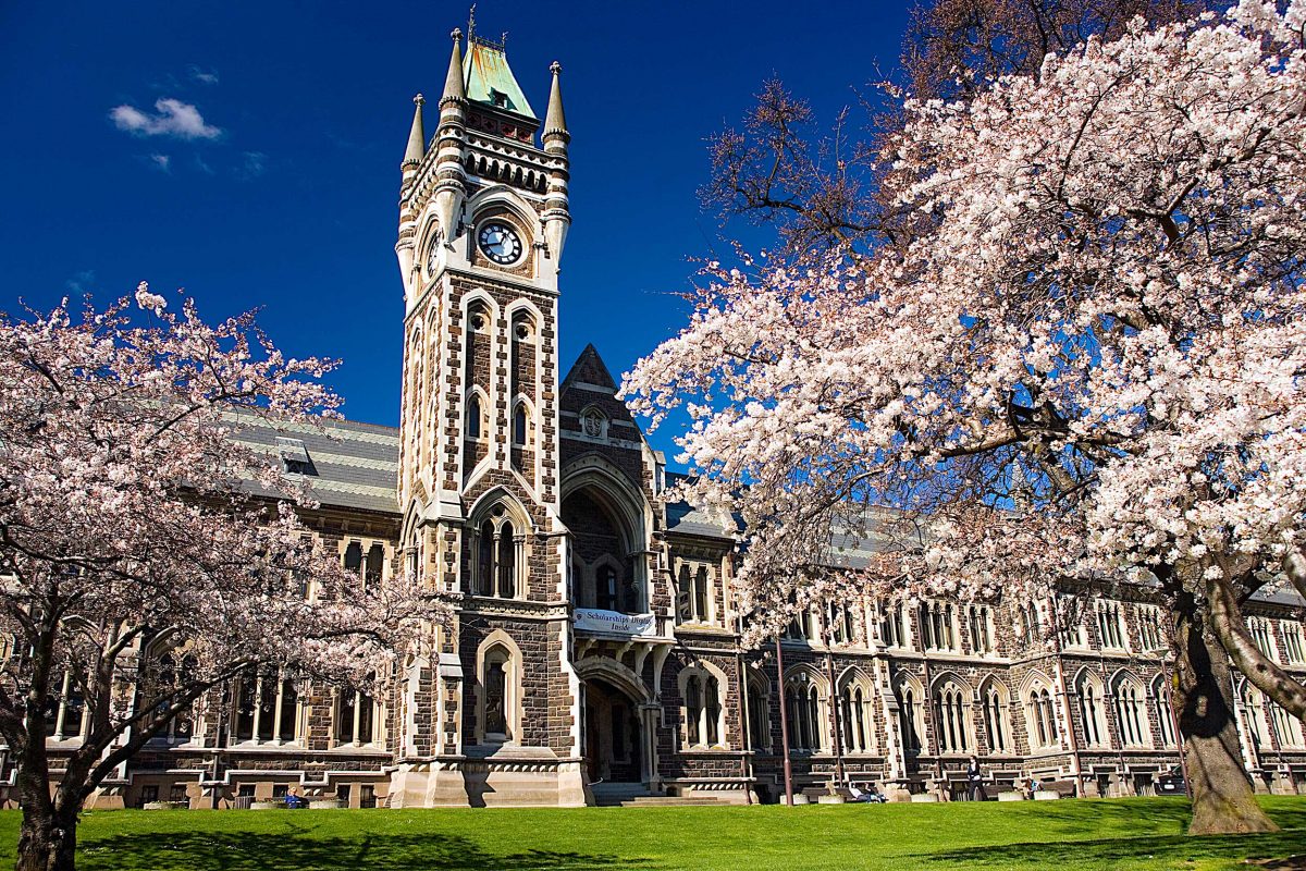 Backpacker Bus Dunedin - Otago University