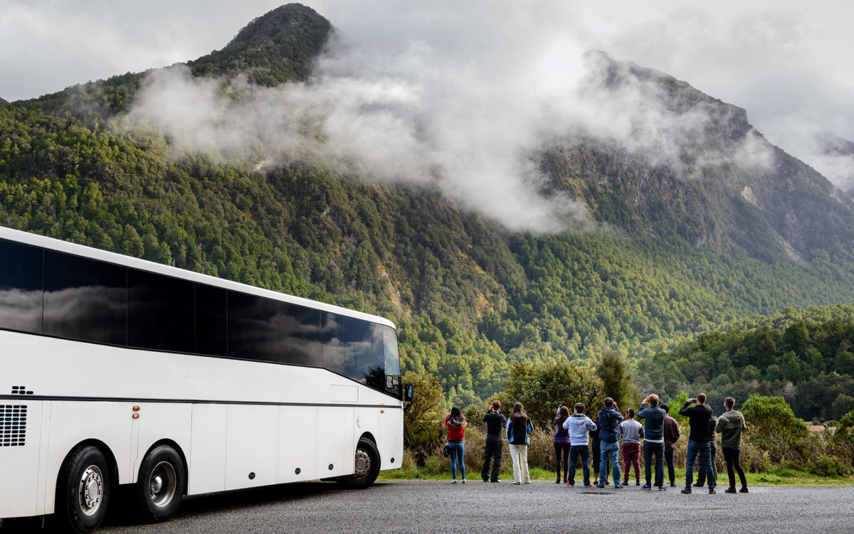 Backpacker Bus - New Zealand bus passes