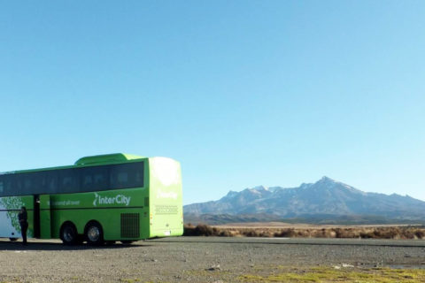 Backpacker Bus - New Zealand travel experiences