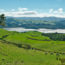 Backpacker Bus - North Island