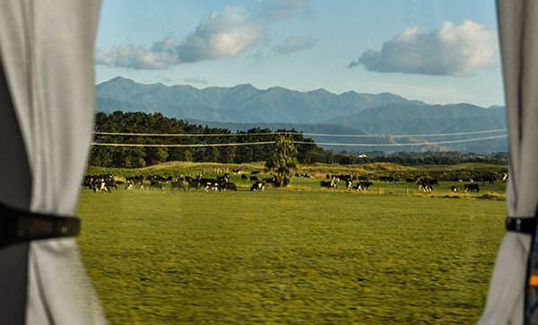 A South Island New Zealand bus travel window view.